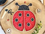 Bandeja rellenable mariquita para el juego infantil.