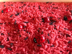 kit arroz sensorial Ladybug con mariquitas en fila