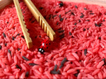 kit arroz sensorial Ladybug con mariquitas y pinzas de madera