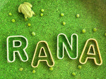 Letras Mayúsculas Rellenables