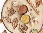 Kit plastilina otoño, moldes biodegradables, juego infantil wood claro