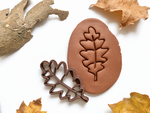Moldes biodegradables para plastilina otoño infantil colores