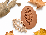 Moldes biodegradables para plastilina juego infantil otoño hoja wood claro